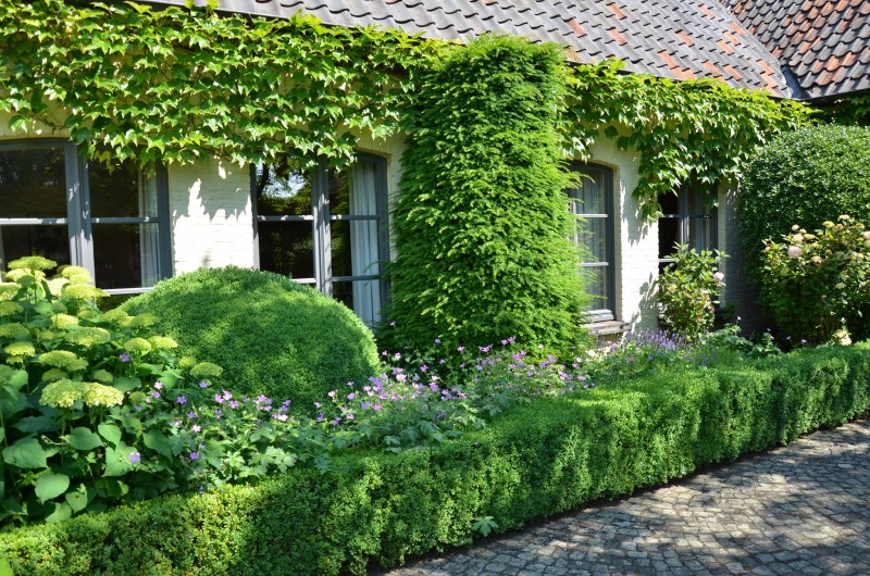 Pauwkenshof