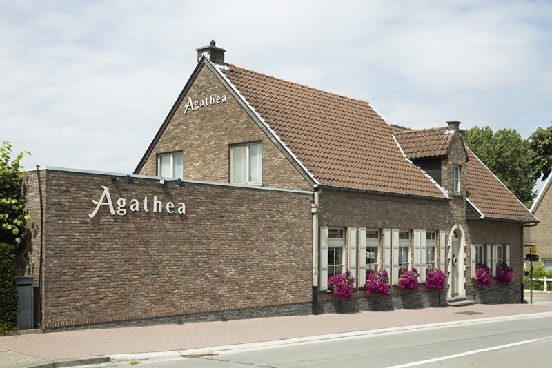 Agathea