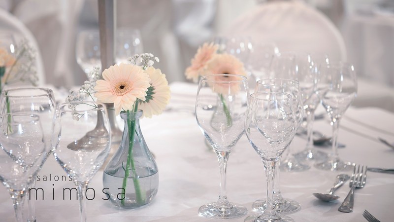 Salons Mimosa
