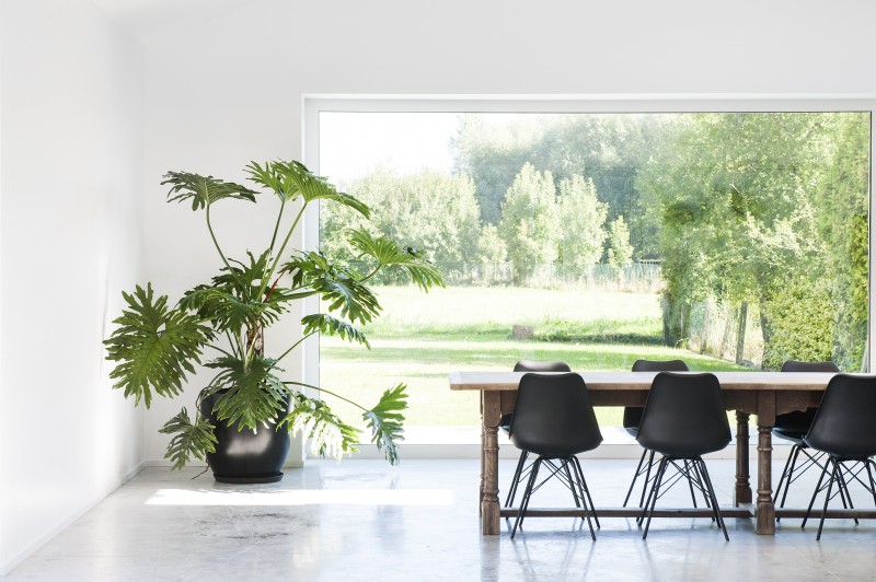 De Schuur Meetingrooms