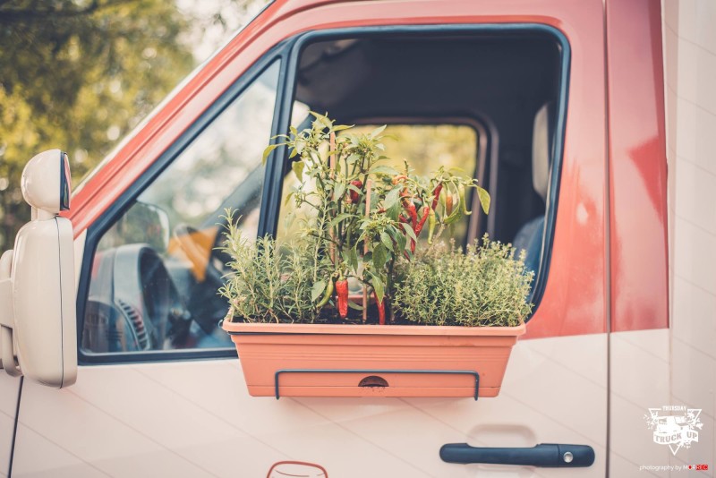 Kasserol - De Groene Foodtruck