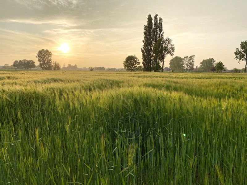 Hoeve La Cascina