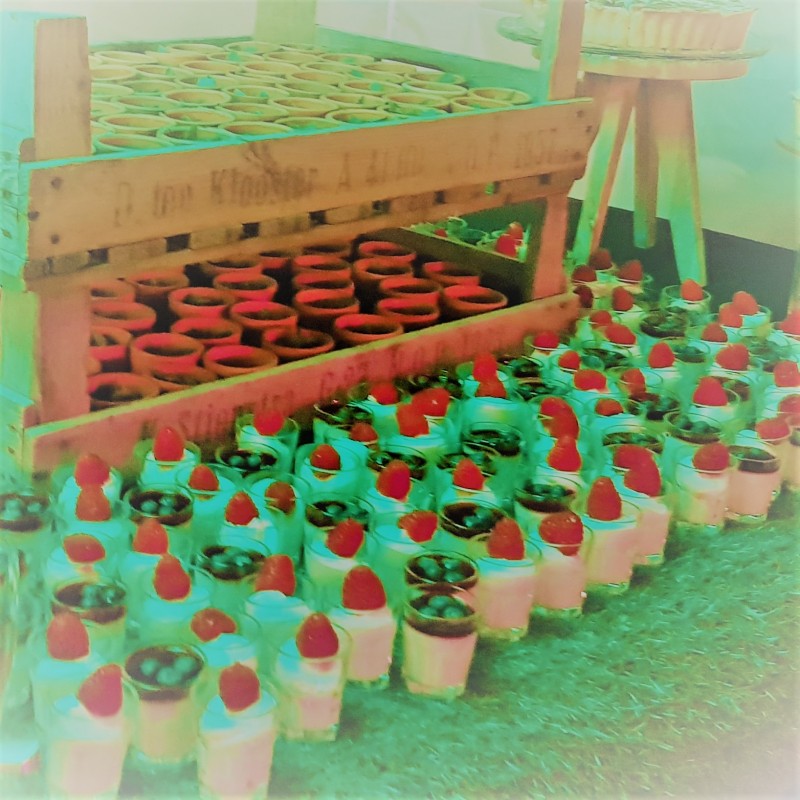 Art and Food