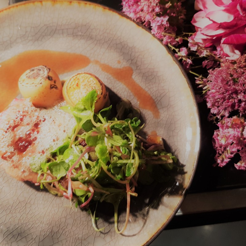 Art and Food