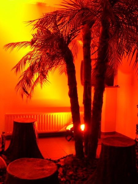 LEMON - Licht en Muziek Onderneming