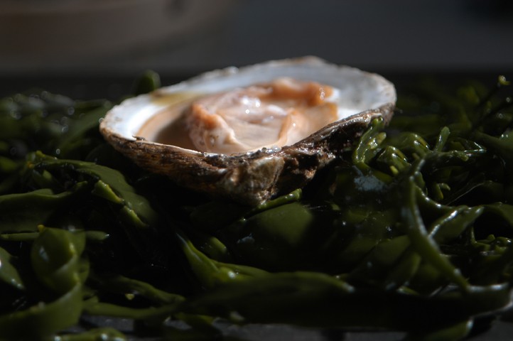 Stijn Van Lier Catering