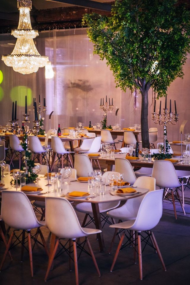 Levi Party Rental