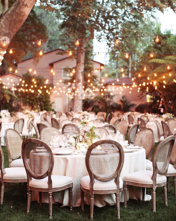 Levi Party Rental