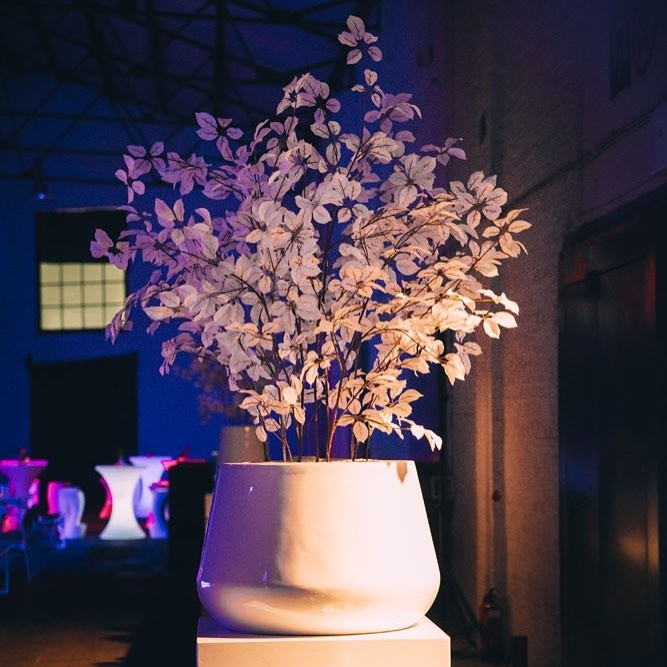 Faek - Plant your event