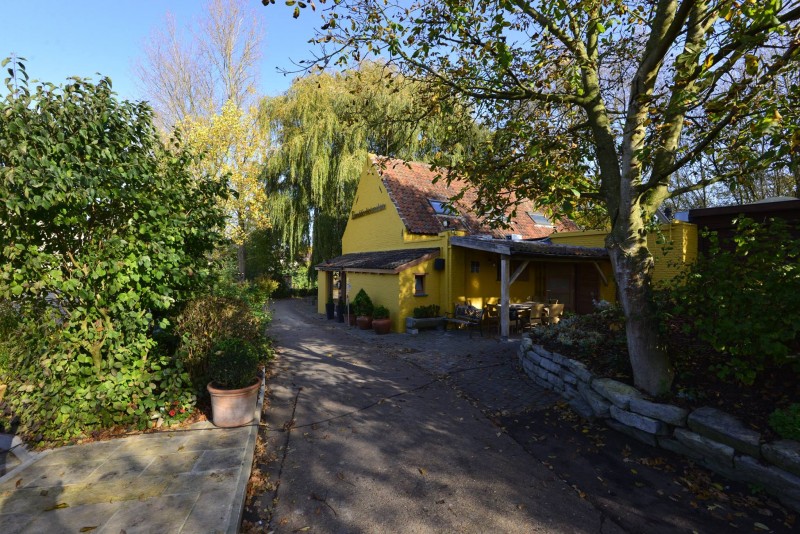 Zwadderkotmolen