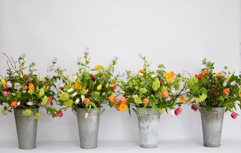Degroote Bloemen