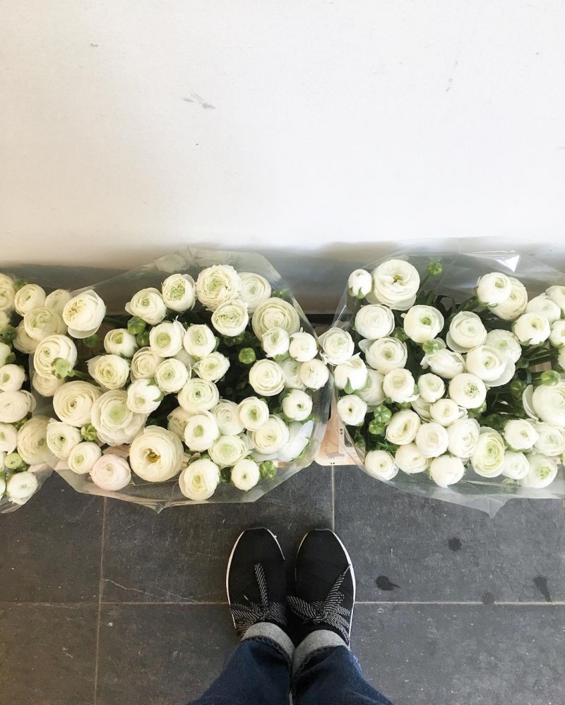 Degroote Bloemen