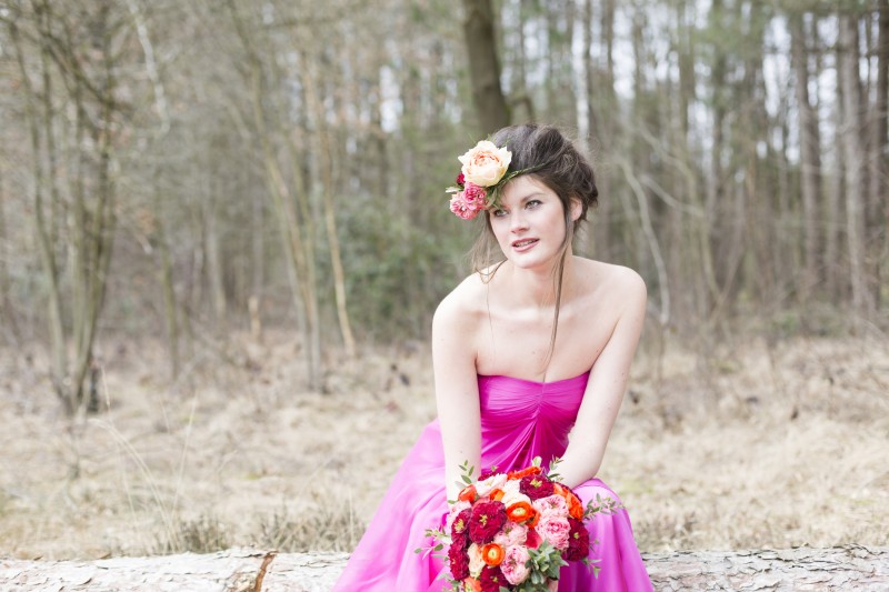 Degroote Bloemen