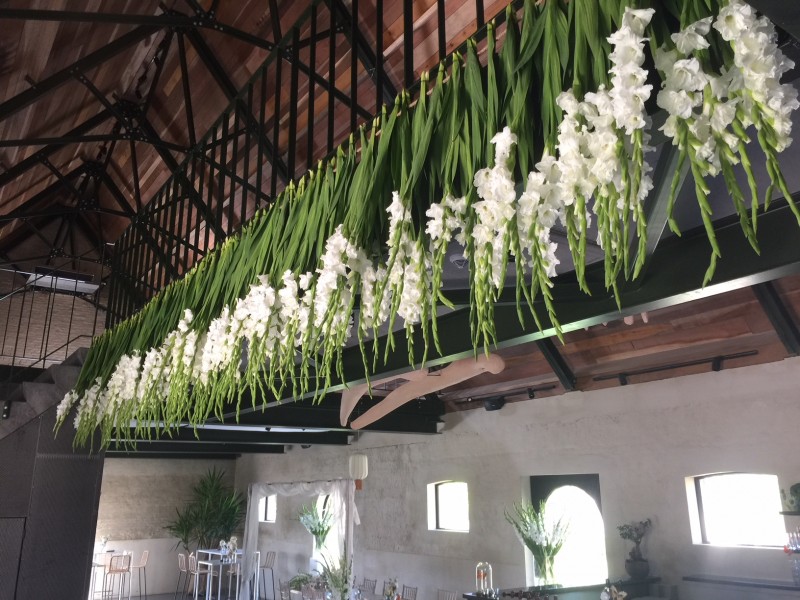 Chou Fleur