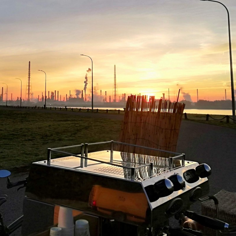 Wilde koffie