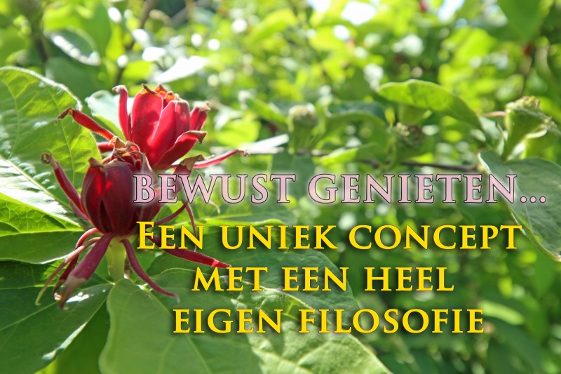 De Letterhoeve