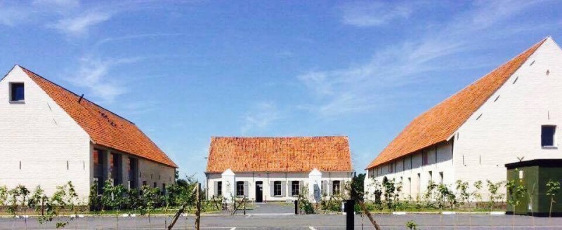 Woestyne