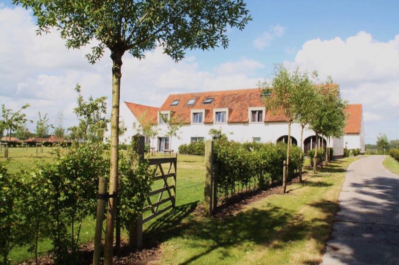 Woestyne