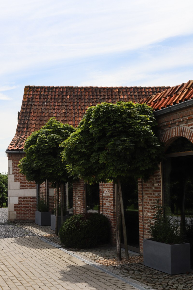 Salon Norfolk