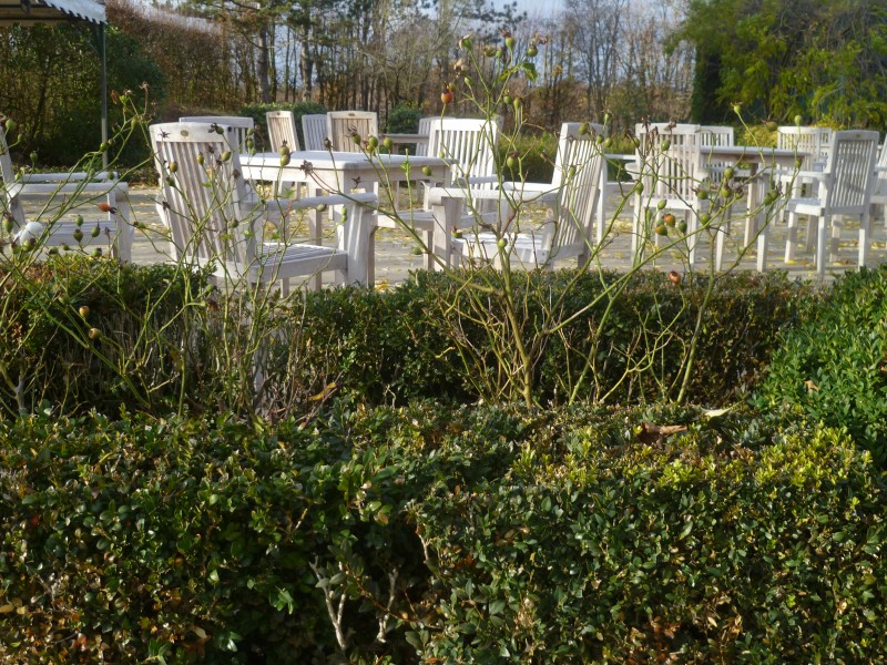 Salon Norfolk