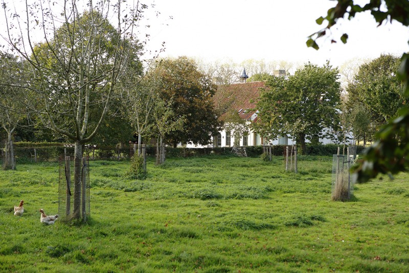 De Grote Wateringe