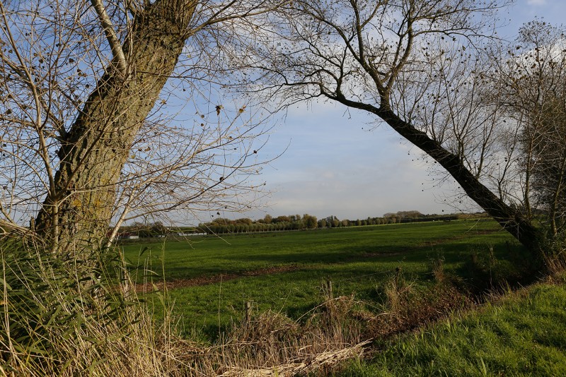 De Grote Wateringe