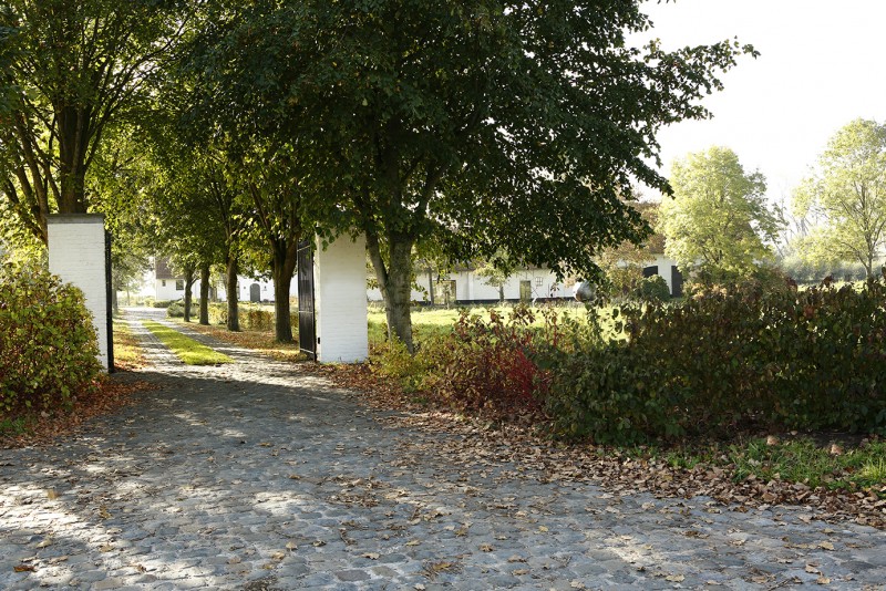 De Grote Wateringe