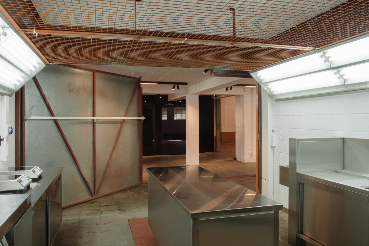 Safari Studios
