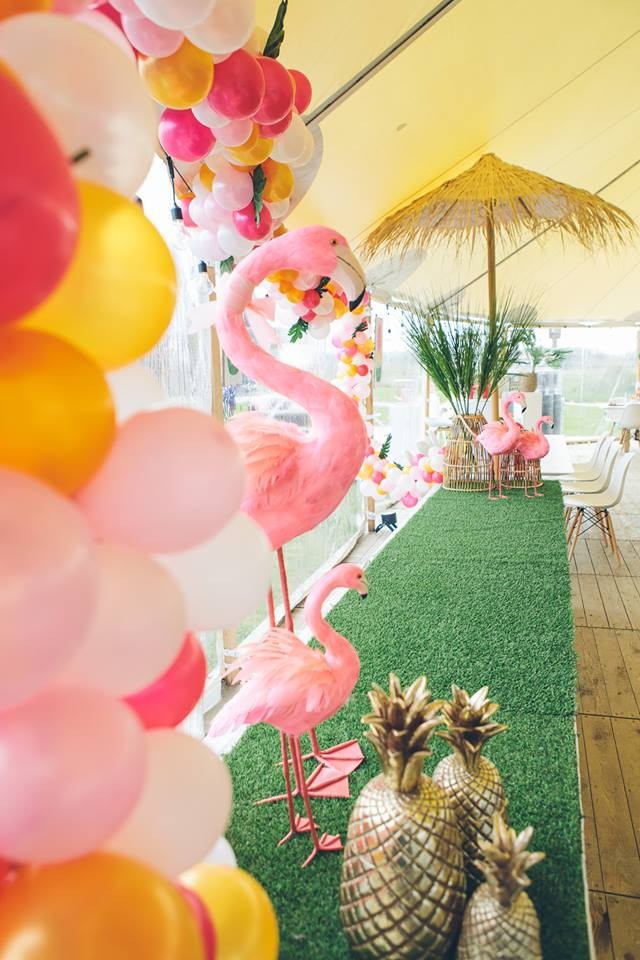 C Events