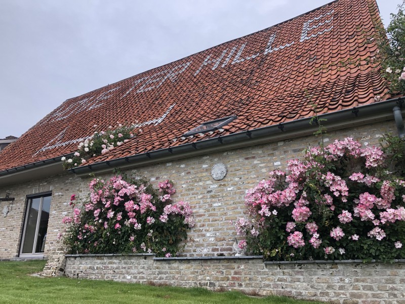 Hove ter Hille