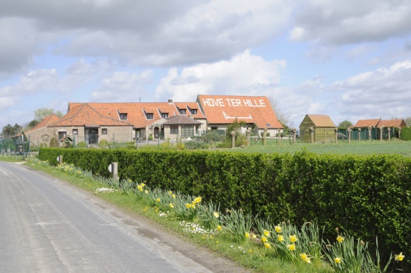 Hove ter Hille