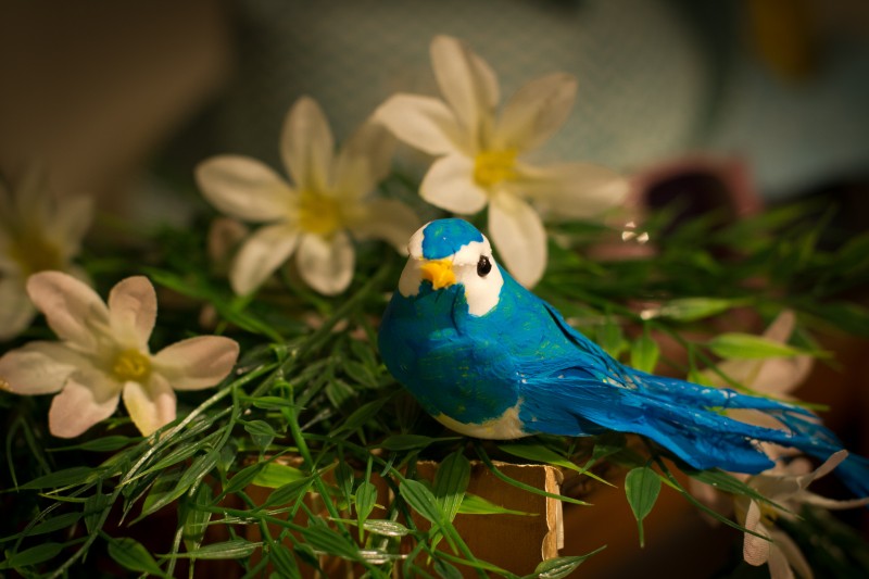 The Blue Birdie Photobooth