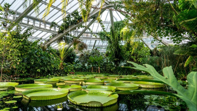 Le Jardin