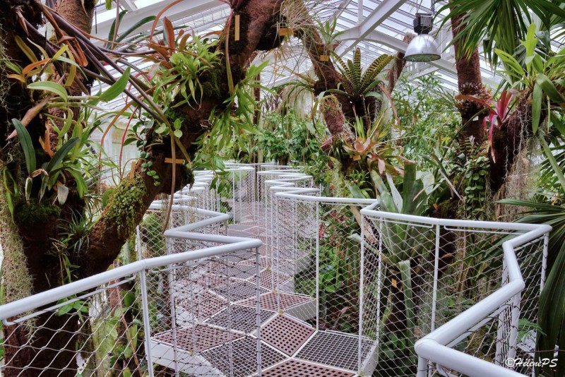 Le Jardin