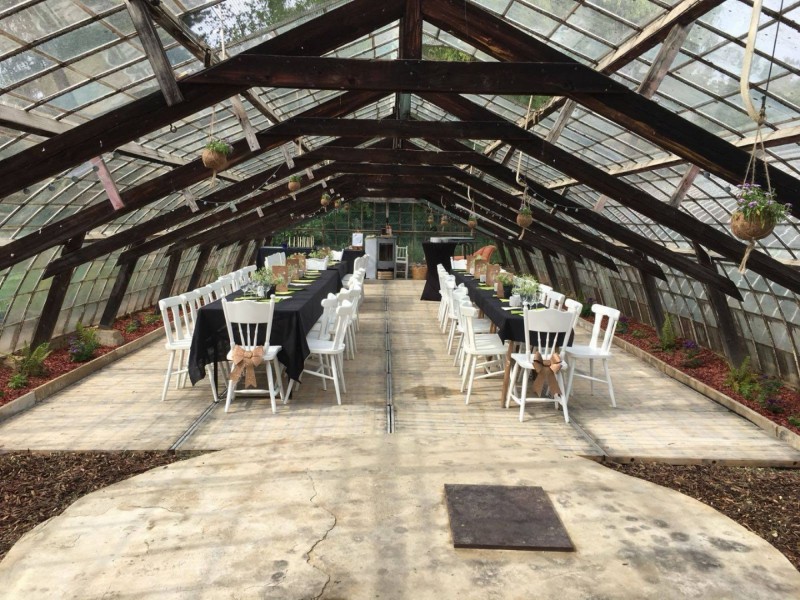 The Vinyard
