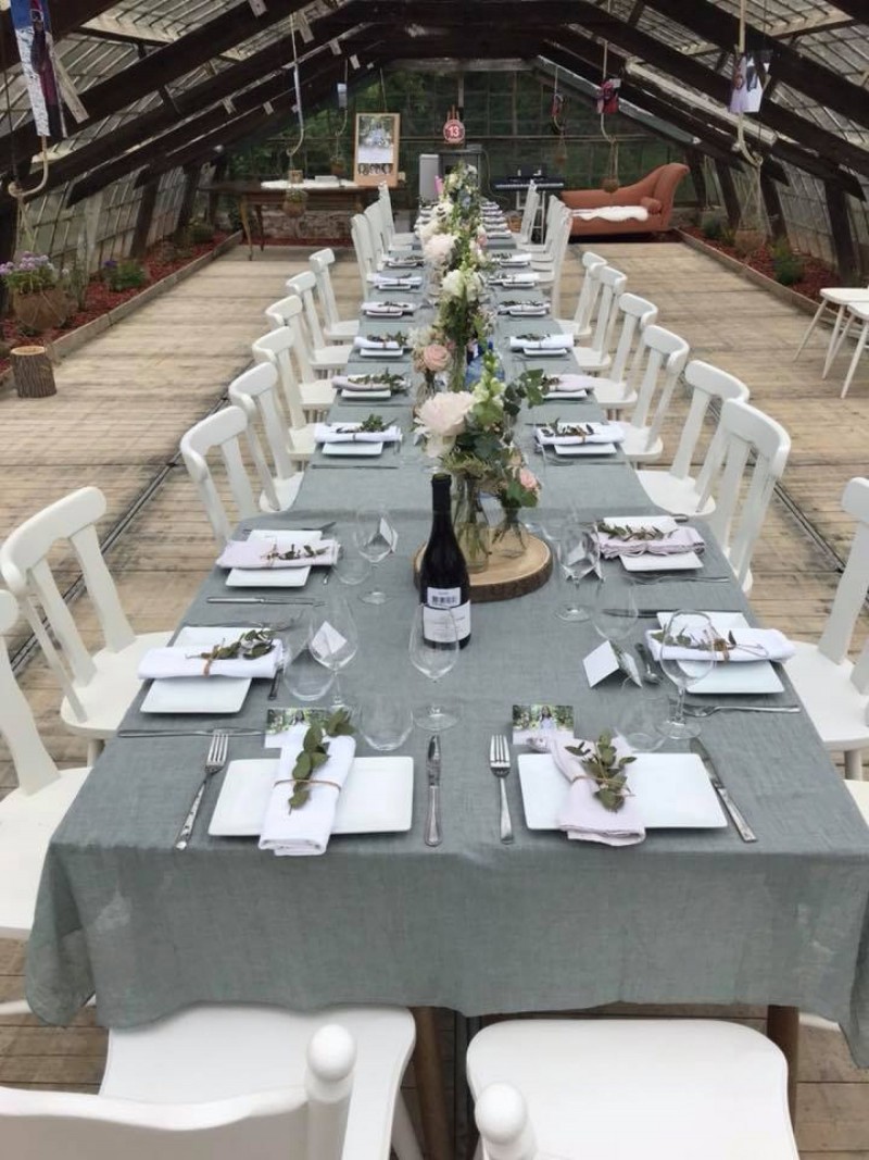 The Vinyard