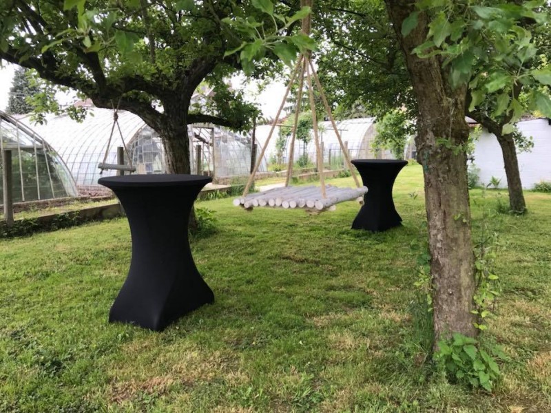 The Vinyard