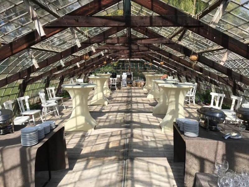 The Vinyard