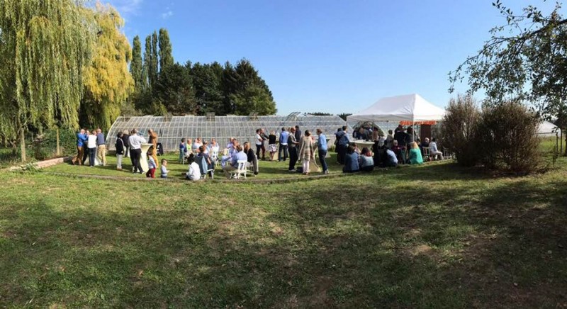 The Vinyard