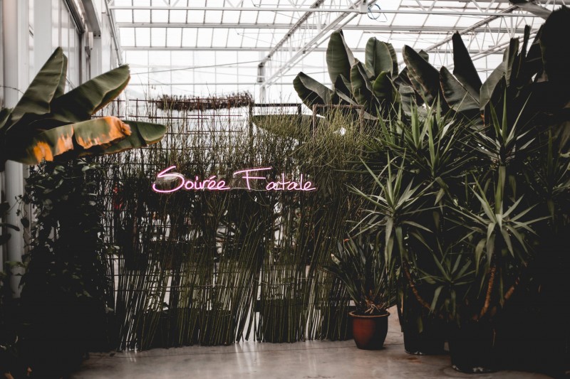 SPRDLUX Events