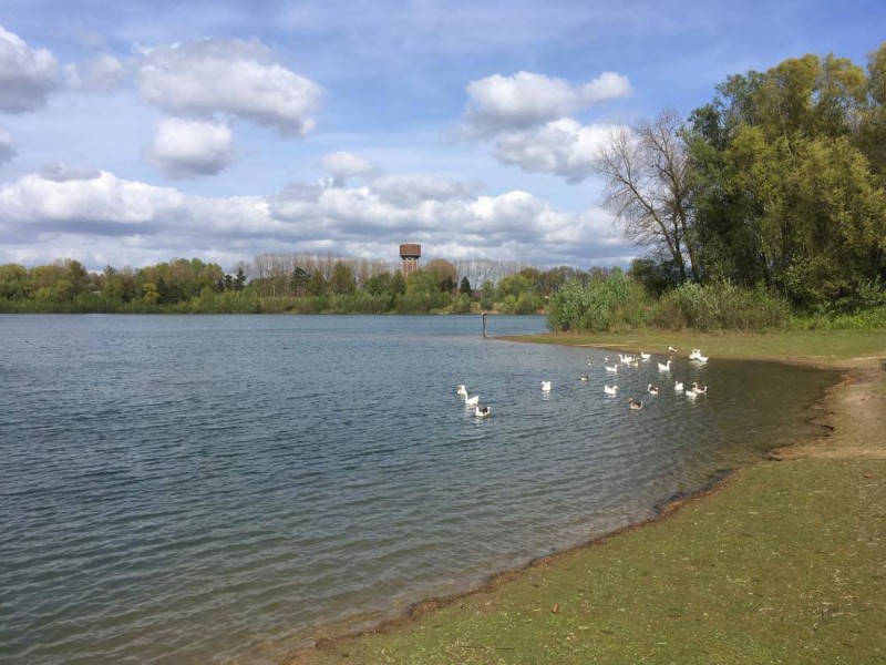 House by the Lake