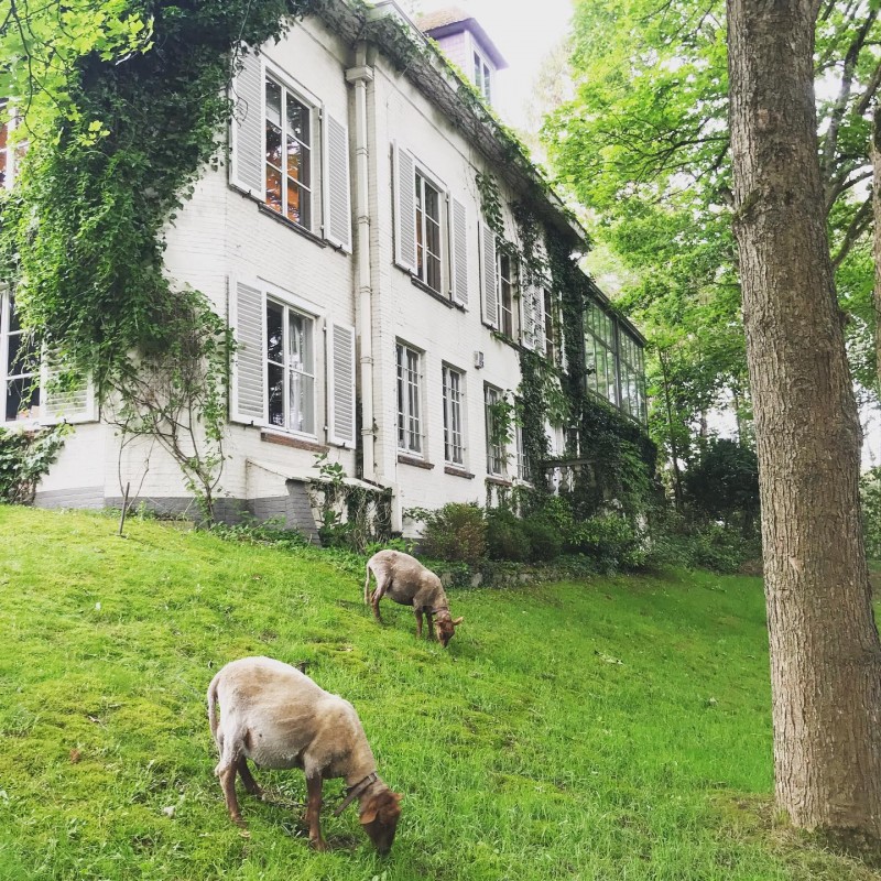 The Hill