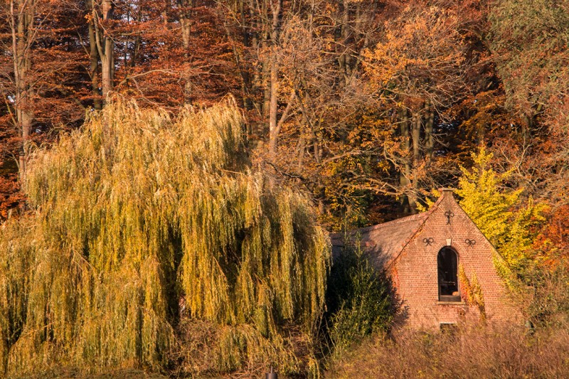 Villa Hellebosch