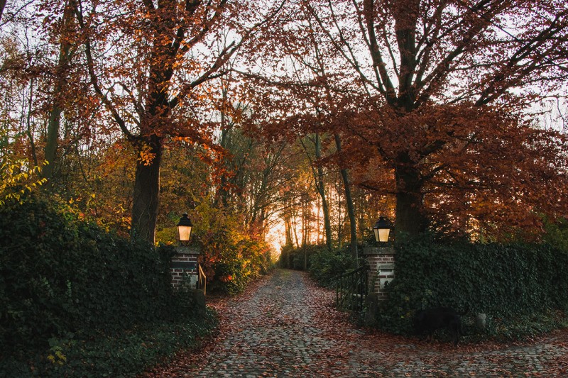Villa Hellebosch
