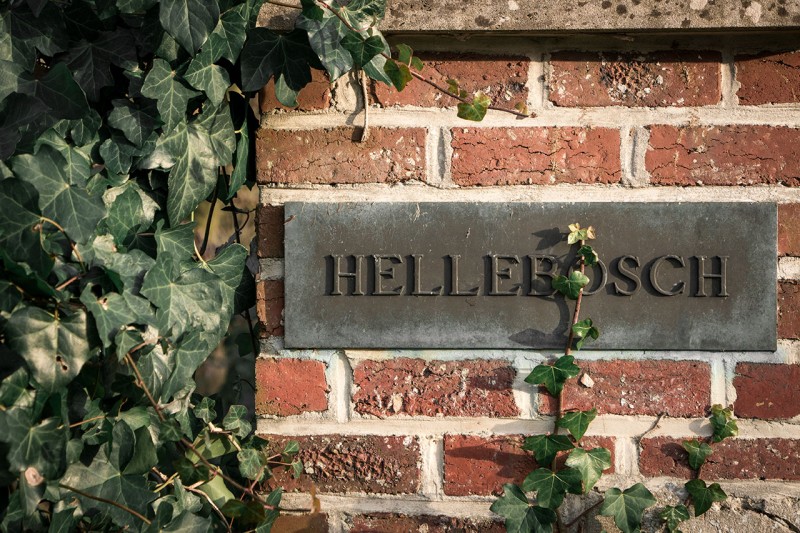 Villa Hellebosch
