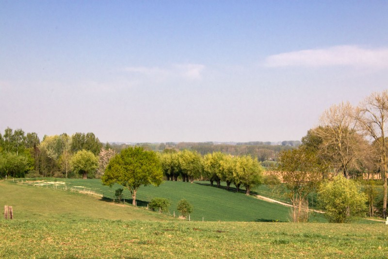 Villa Hellebosch