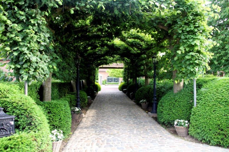 Hof te Spieringen