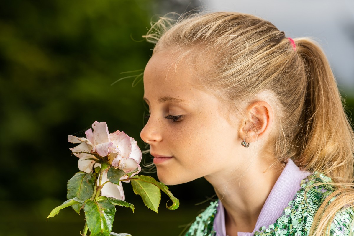 VDCfotografie