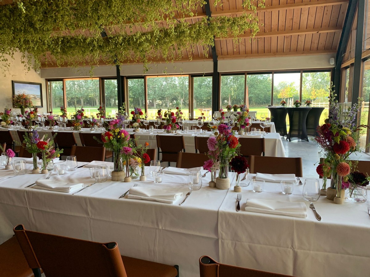 Leon Events | B&B Leonie