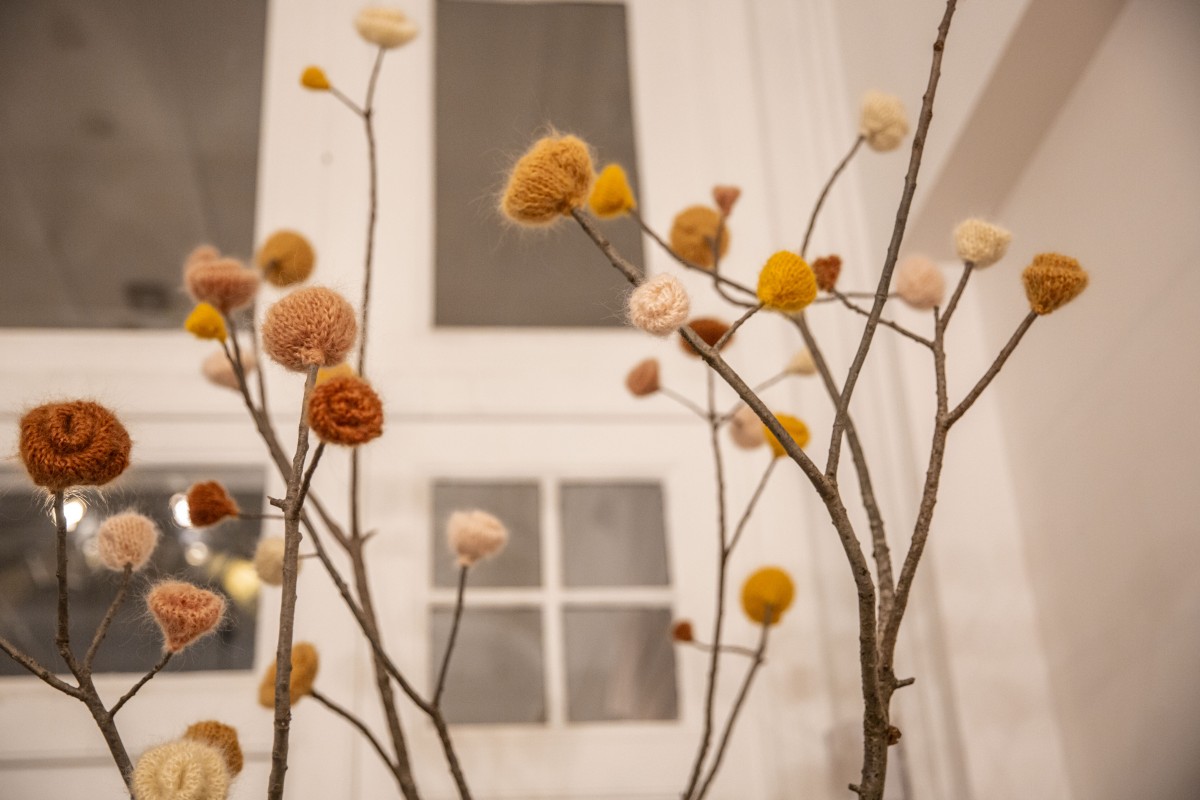 't Oud Gemeentehuis Kapellen Antwerpen Salino.be